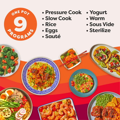 Electric Multi-Functional Pressure Cooker